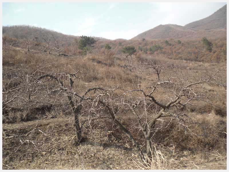 21̖ RL(zhn)ʯ֙(qun)